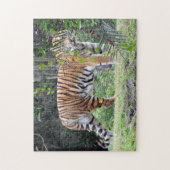 Bengale Tiger Puzzle (Vertical)