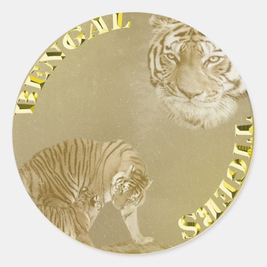 Bengale Tigers Gold Coin, Stickers Rond (Devant)