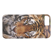 Bengale tijger, Panthera tigris Case-Mate iPhone Case (Achterkant (Horizontaal))