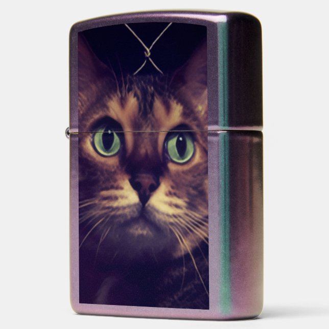 Bengalees Kat Slapende Bengaalse kat (Left)