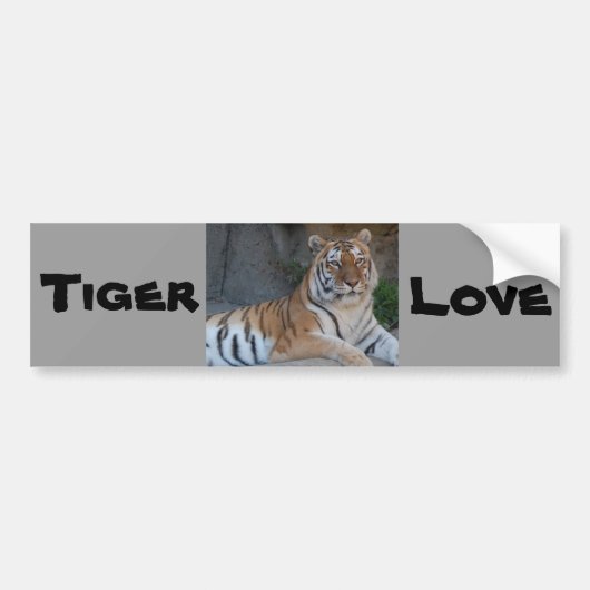 Bengalen Bumpersticker (Voorkant)