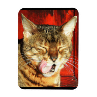 Bengalen liefde foto magneet