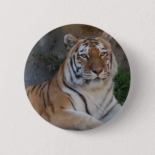 Bengalen Ronde Button 5,7 Cm (Voorkant)