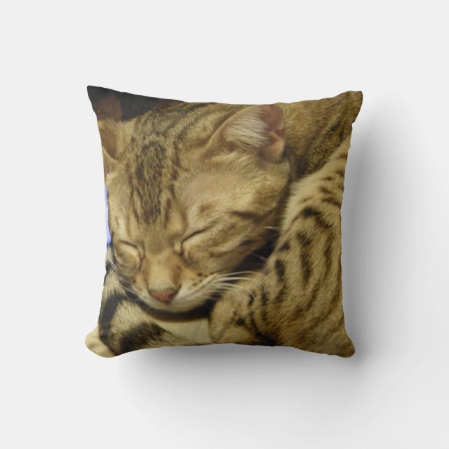 Bengalen van katten kussen (Voorkant)