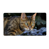 Bengalen van snuitjes etiket (Voorkant)