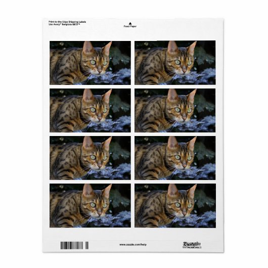 Bengalen van snuitjes etiket (Full Sheet)