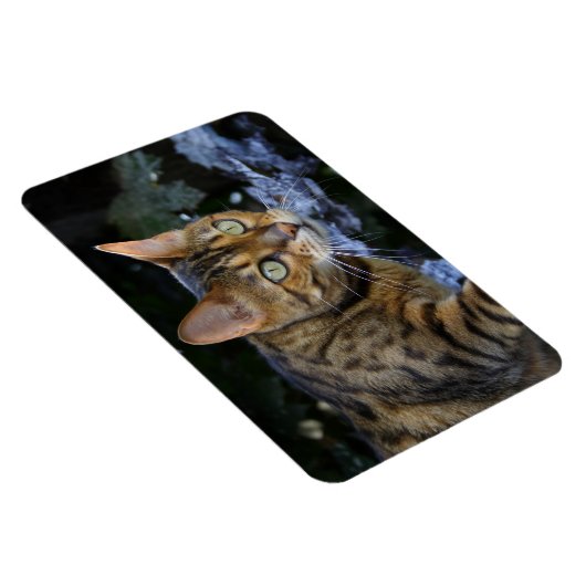 Bengalen van snuitjes magneet (Rechterzijde)