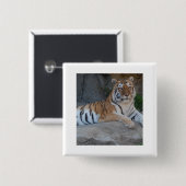 Bengalen Vierkante Button 5,1 Cm (Voorkant /achterkant)