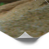 Bengalige tijger jachtprooi poster (Hoek)