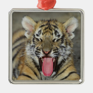 Bengaltijger Metalen Ornament