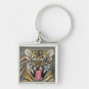 Bengaltijger Sleutelhanger