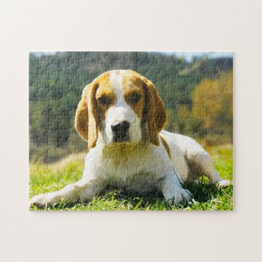 Bengelse jachthonden. legpuzzel (Horizontaal)