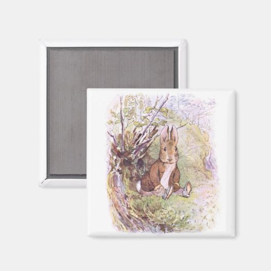 Benjamin Bunny (door Beatrix Potter) Magneet (Voorkant / Achterkant)