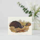 Bennett's Cassowary van Elizabeth Gould Briefkaart (Staand voorkant)