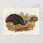 Bennett's Cassowary van Elizabeth Gould Briefkaart (Voorkant)