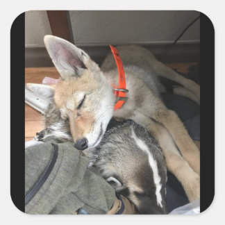 Benny en Doc Stickers