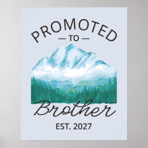 Benoemd tot broer Est 2027 Big Brother VI Poster