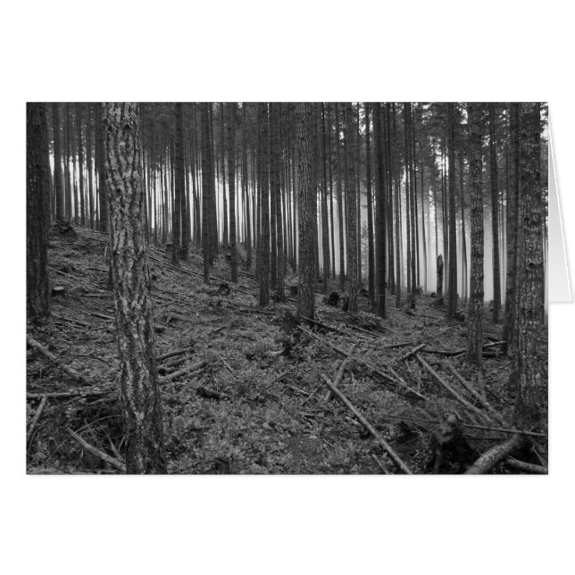 Benson Meadows (Voorkant Horizontaal)