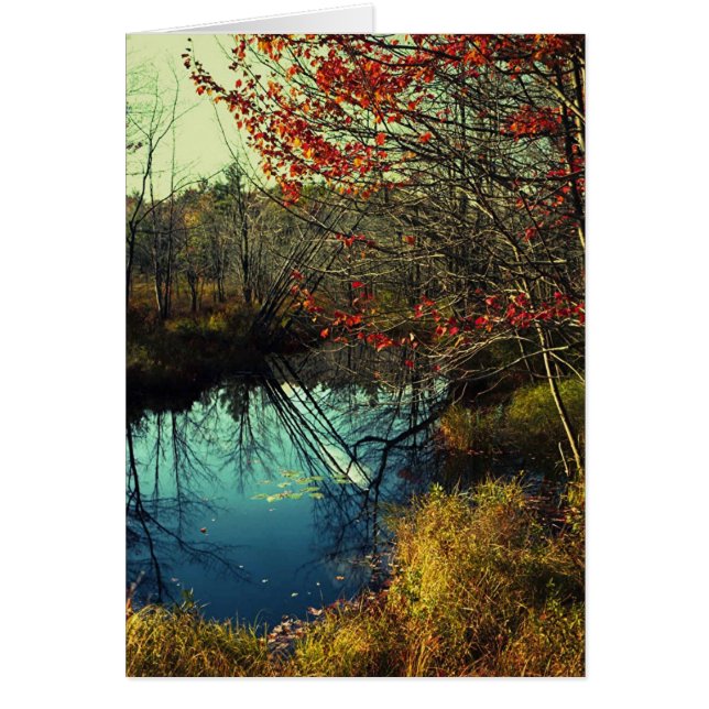 Bent Trees (Voorkant)