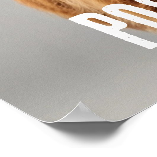 Bent u Pooping Funny Highland Koe Toilet Badkamer Poster (Hoek)