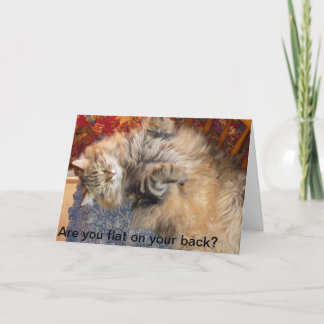 Bent u vlak op uw rug? Vanya kan helpen Kaart