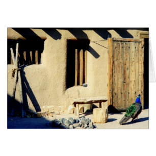 Bents Old Fort Peacock