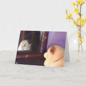 BENZI- Carte de boue pour chienARTdog (Fleur jaune)