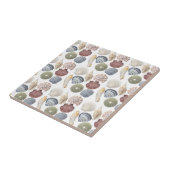 Beoordeling van het kustdek van schelpdieren tegeltje (Zijkant)