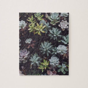 Beoordeling van kleine Succulente Planten Legpuzzel