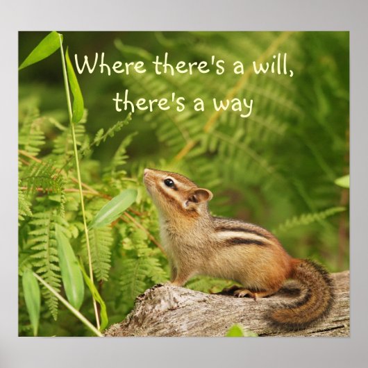 Bepaald Baby-chipmunkPoster Poster (Voorkant)