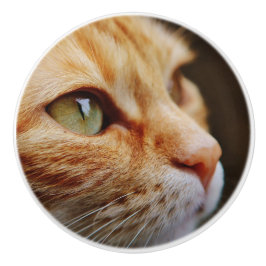 Bepaald gezichtsveld van een gemberkat keramische knop