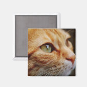 Bepaald gezichtsveld van een gemberkat magneet (Voorkant / Achterkant)