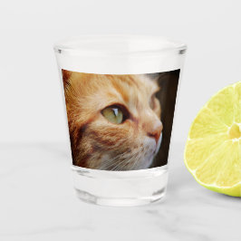 Bepaald gezichtsveld van een gemberkat shot glas