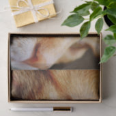 Bepaald gezichtsveld van een gemberkat tissuepapier (Geschenk)