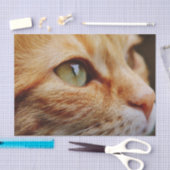 Bepaald gezichtsveld van een gemberkat tissuepapier (Craft)