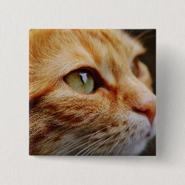 Bepaald gezichtsveld van een gemberkat vierkante button 5,1 cm