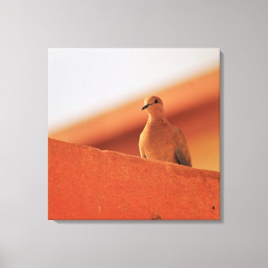 Bepaling Canvas Afdruk (Voorkant)