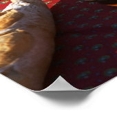 Bereide aspertif en eetlustopperen: brood, olijven poster (Hoek)