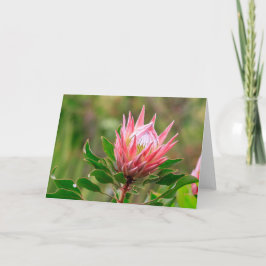 Bereik voor de lucht kaart