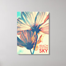 Bereik voor de Sky Cosmos Flower