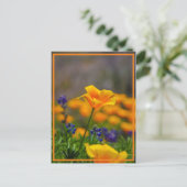 Bereik voor de ster briefkaart (Staand voorkant)