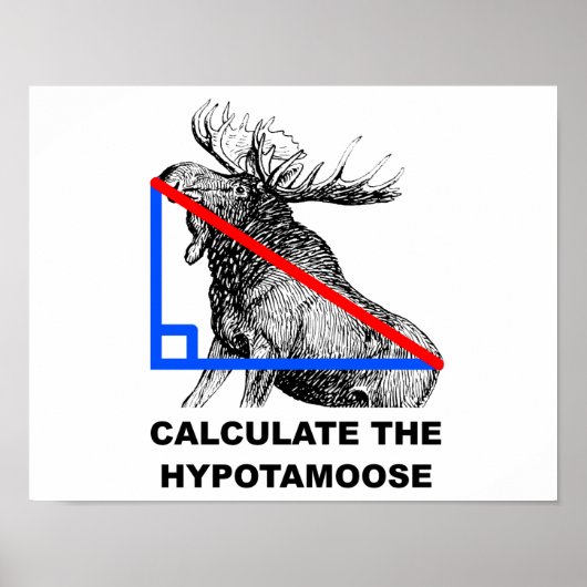 Bereken het Hypotamoose Funny Poster (Voorkant)