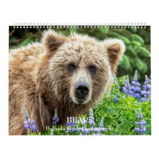 BEREN - Belinda Greb Fotografie Kalender (Hoes)