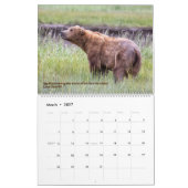 BEREN - Belinda Greb Fotografie Kalender (Mar 2027)