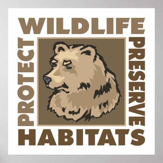 Beren - Beschermen van de habitat van wilde dieren Poster (Voorkant)