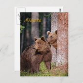 Beren Briefkaart (Voorkant / Achterkant)
