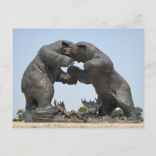 Beren - Dundee, Michigan Briefkaart