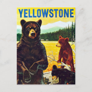 Beren in Yellowstone Travel Briefkaart