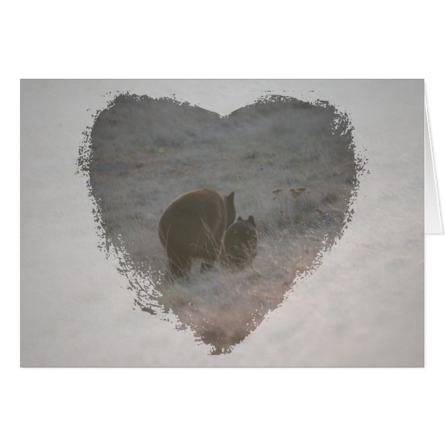 Beren lopen op zonsondergang (Voorkant Horizontaal)