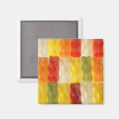 beren magneet (Voorkant / Achterkant)